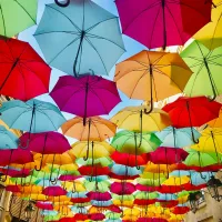 Umbrellas